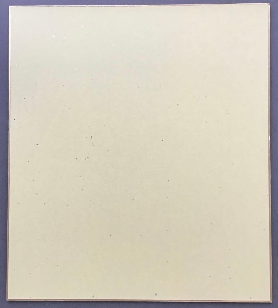 ⭐️色紙　「寿」と山の絵　畳紙　配送用袋　S1032SS