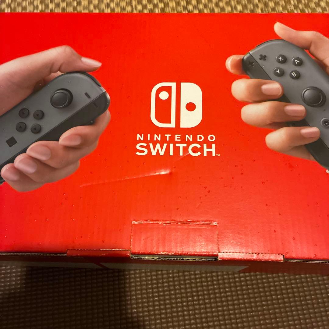 Nintendo Switch 本体一式 グレー