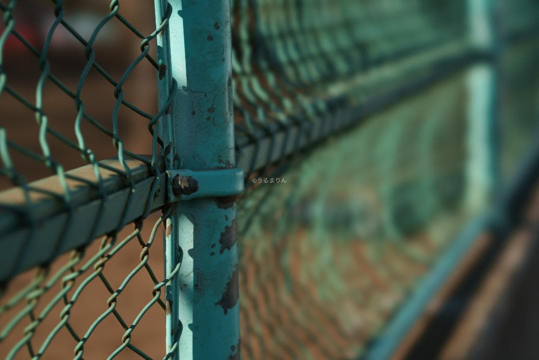 taishi様魔法のボケレンズ！SONY FE100mm F2.8 STF GM