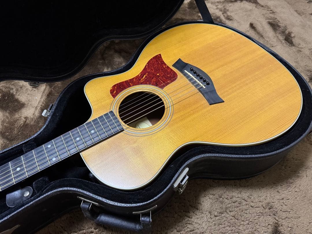 Taylor 214ce 純正ハードケース付き