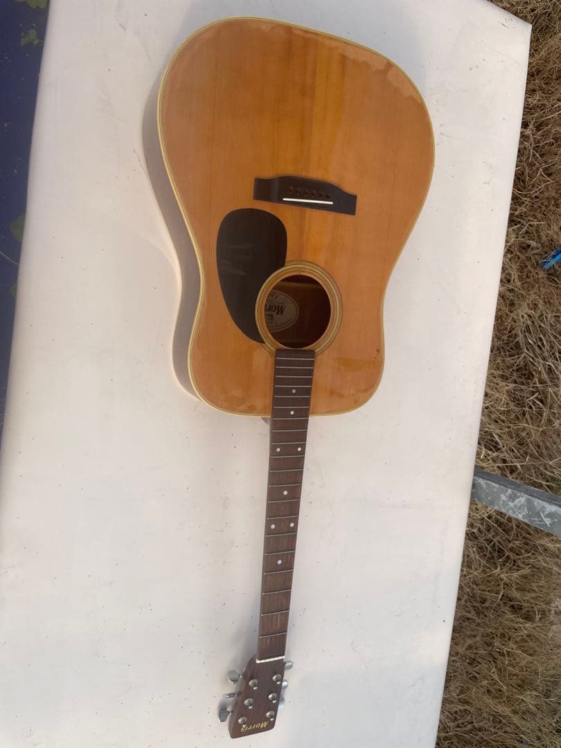 Morris W-20ギター