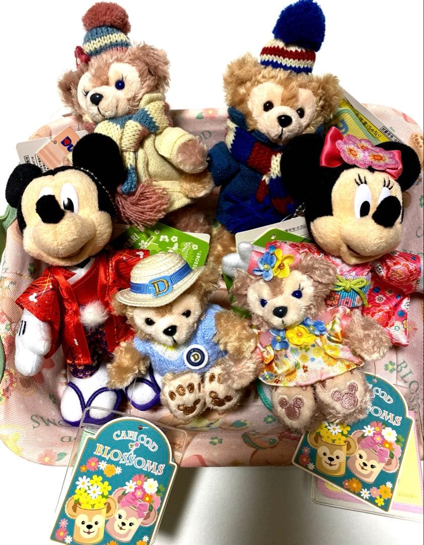 東京ディズニーリゾート　ぬいば　ぬいぐるみバッジ（41体）当時物　レア