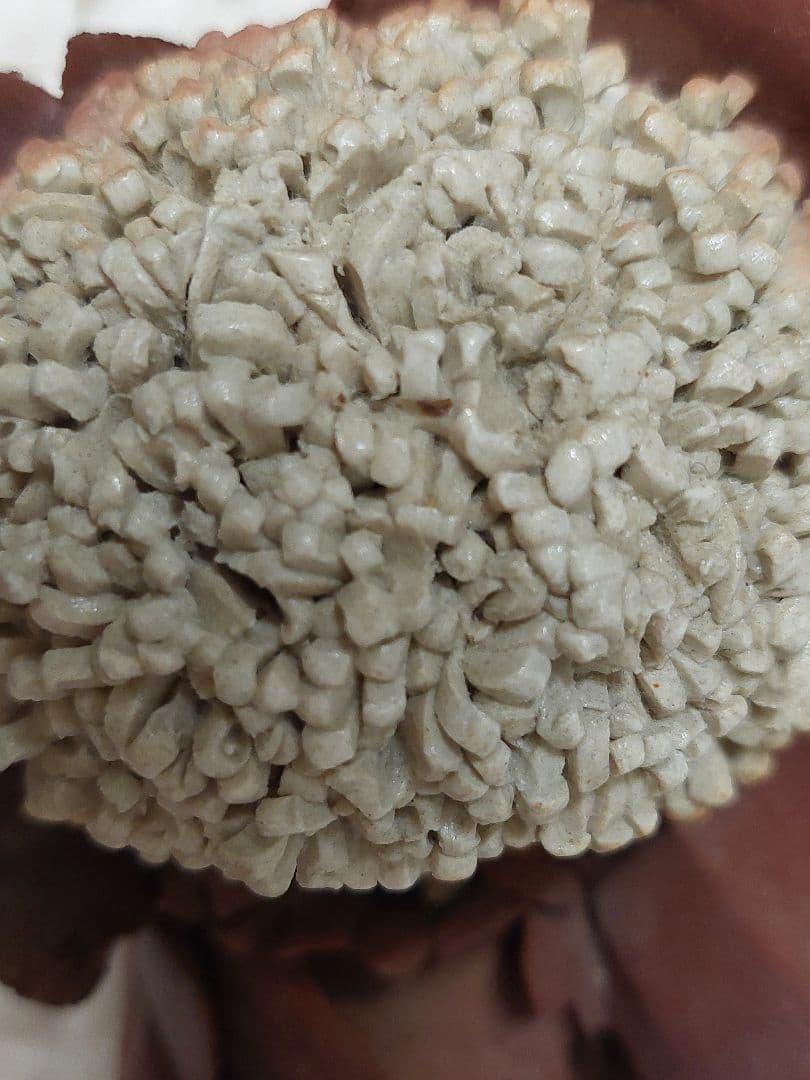 創作人形作家 竹内祥子 陶器人形