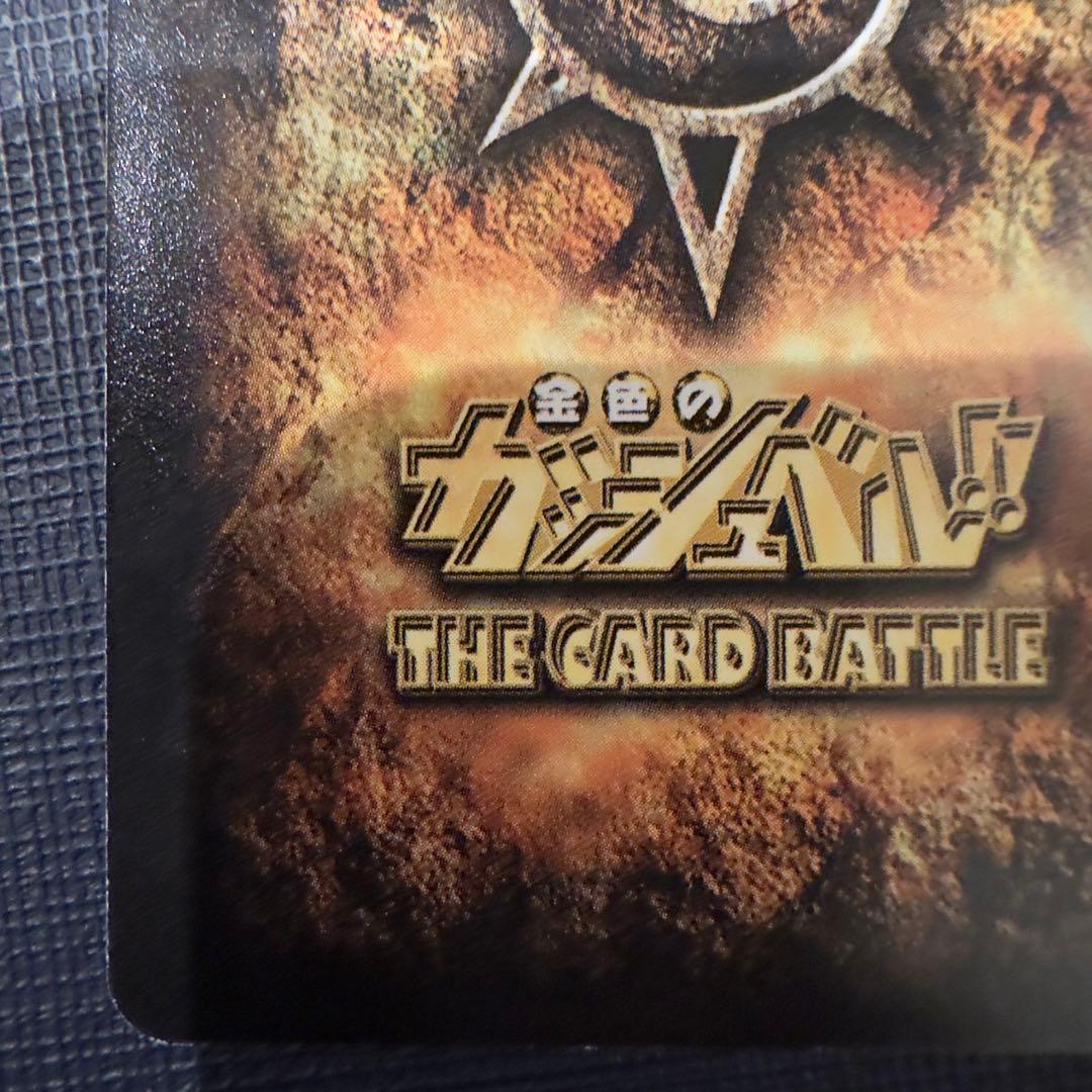 バリー　大きな背中　M-454 H魔物