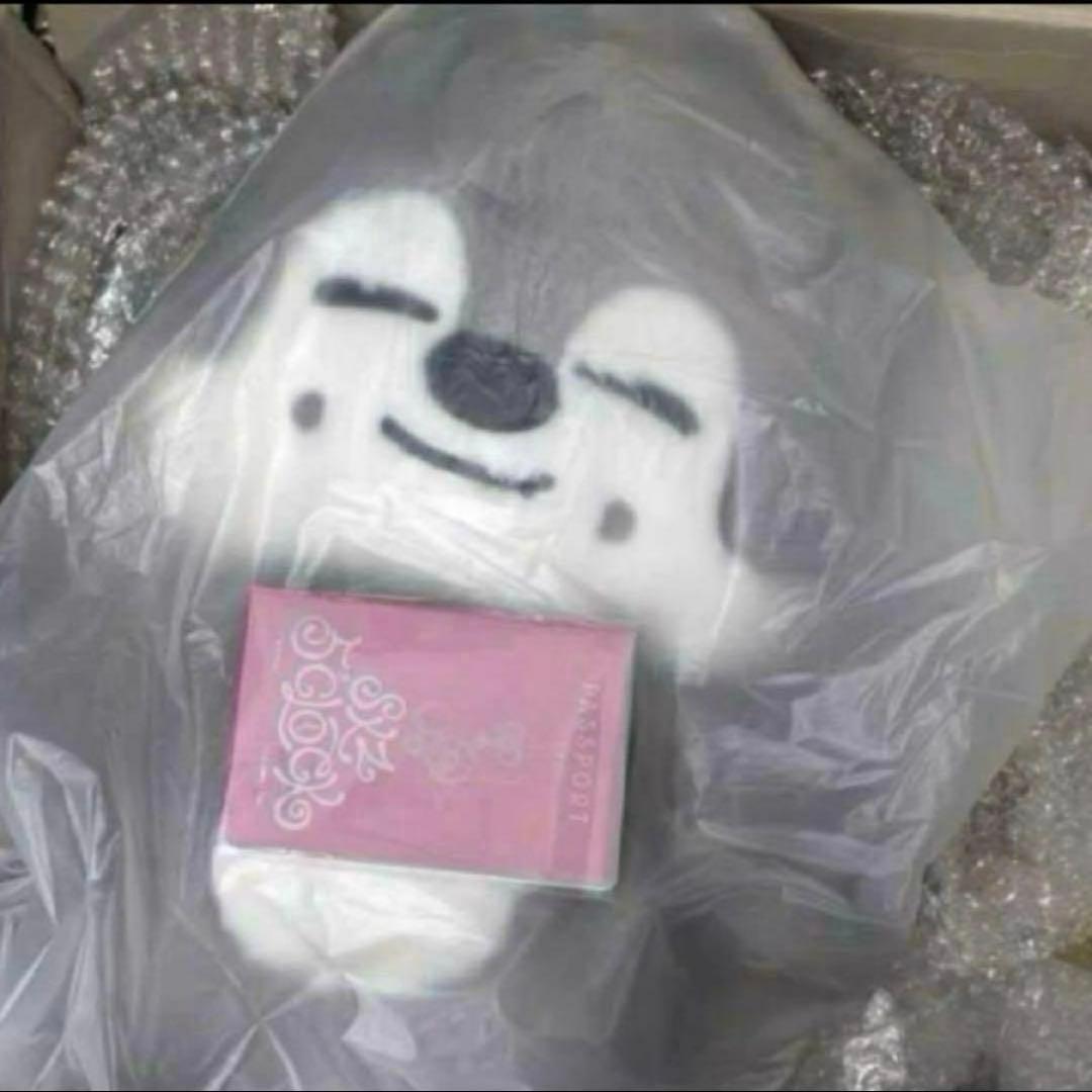 straykids スキズ テディベア SKZOO ウルフチャン　te