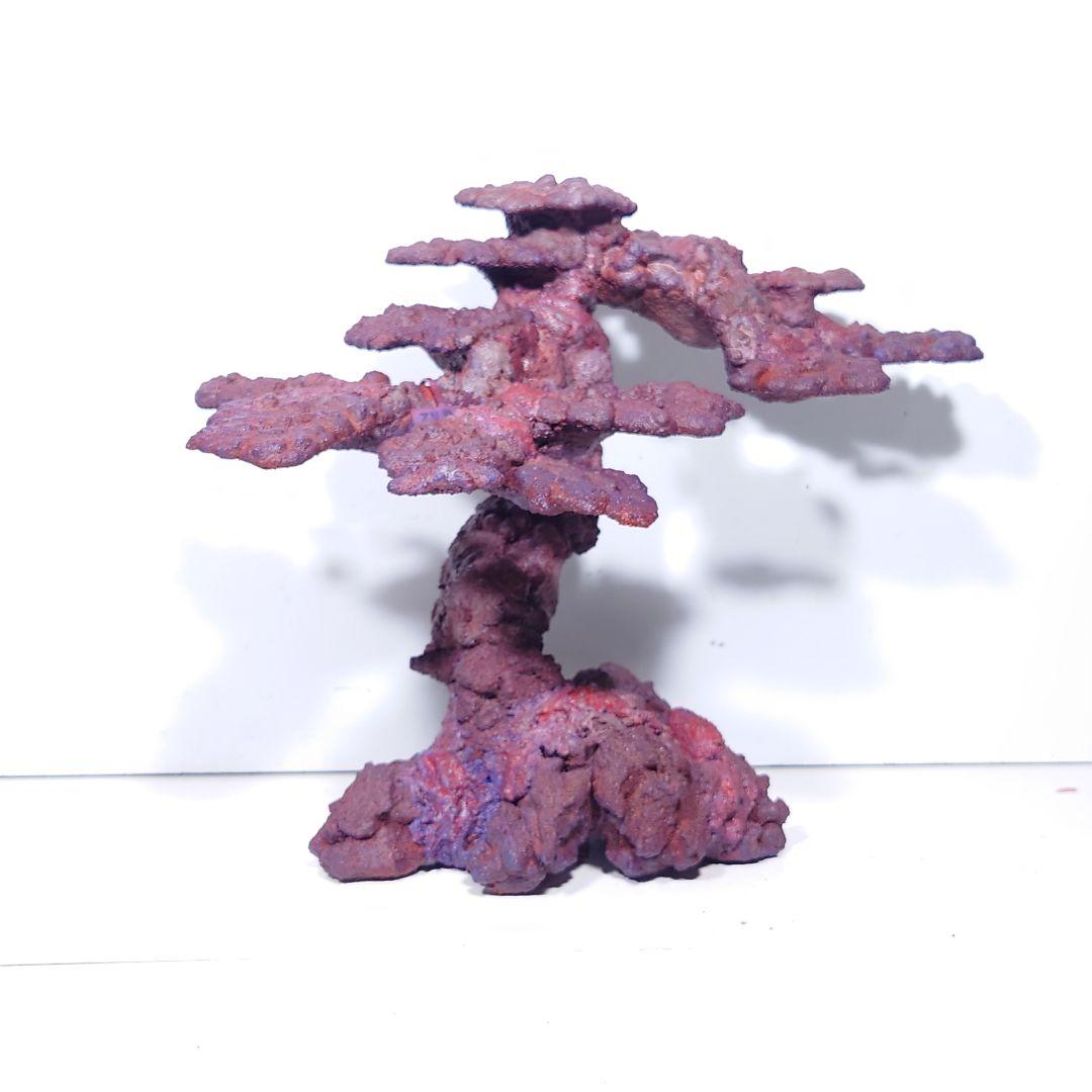 人工ライブロック《ZN-008》