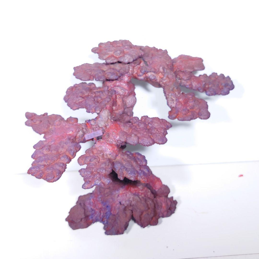 人工ライブロック《ZN-008》