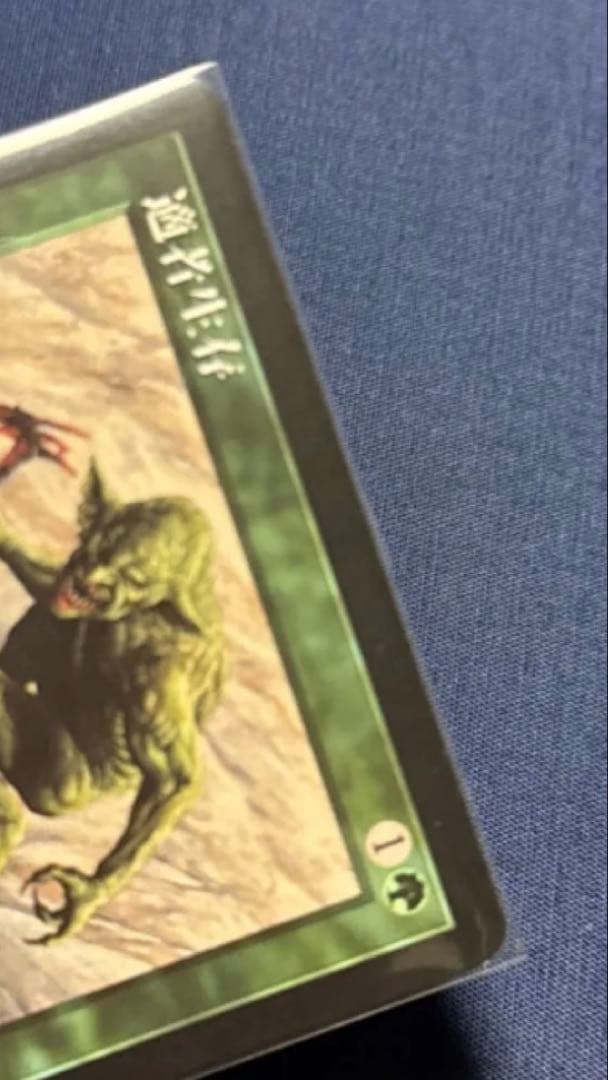 匿名配送　適者生存 magic MTG 日本語　プレイ用