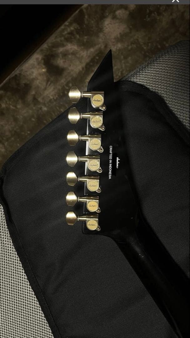 Jackson Pro Series 7弦 ランディV Mark Heylmun