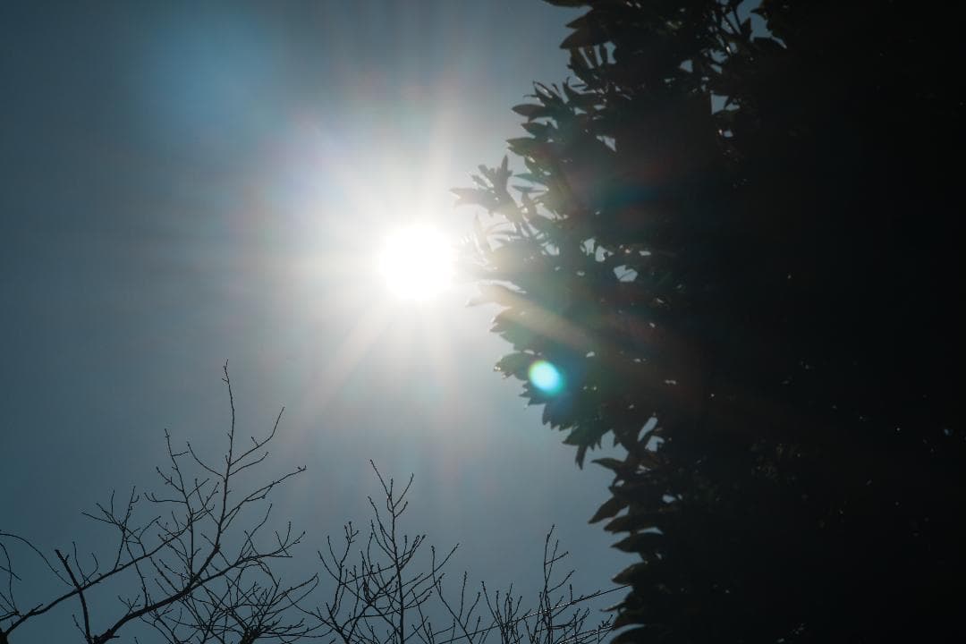 【整備＆テスト】Nikon Ai-s Nikkor 105mm F2.5 708