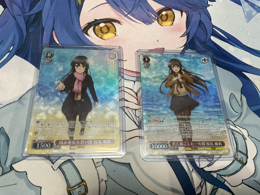 桜島麻衣 OFR セット