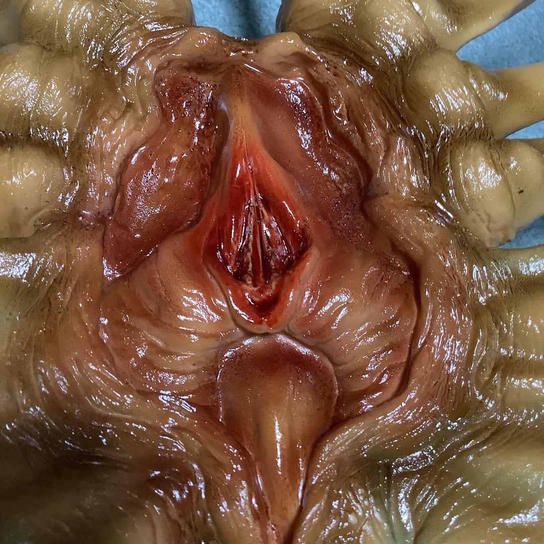 エイリアン★ソフビ★ガレージキット★フェイスハガー★1/1スケール★ツクダホビー