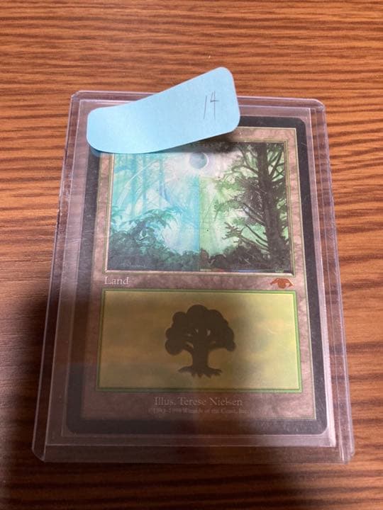 『MTG』森　グルランド　14