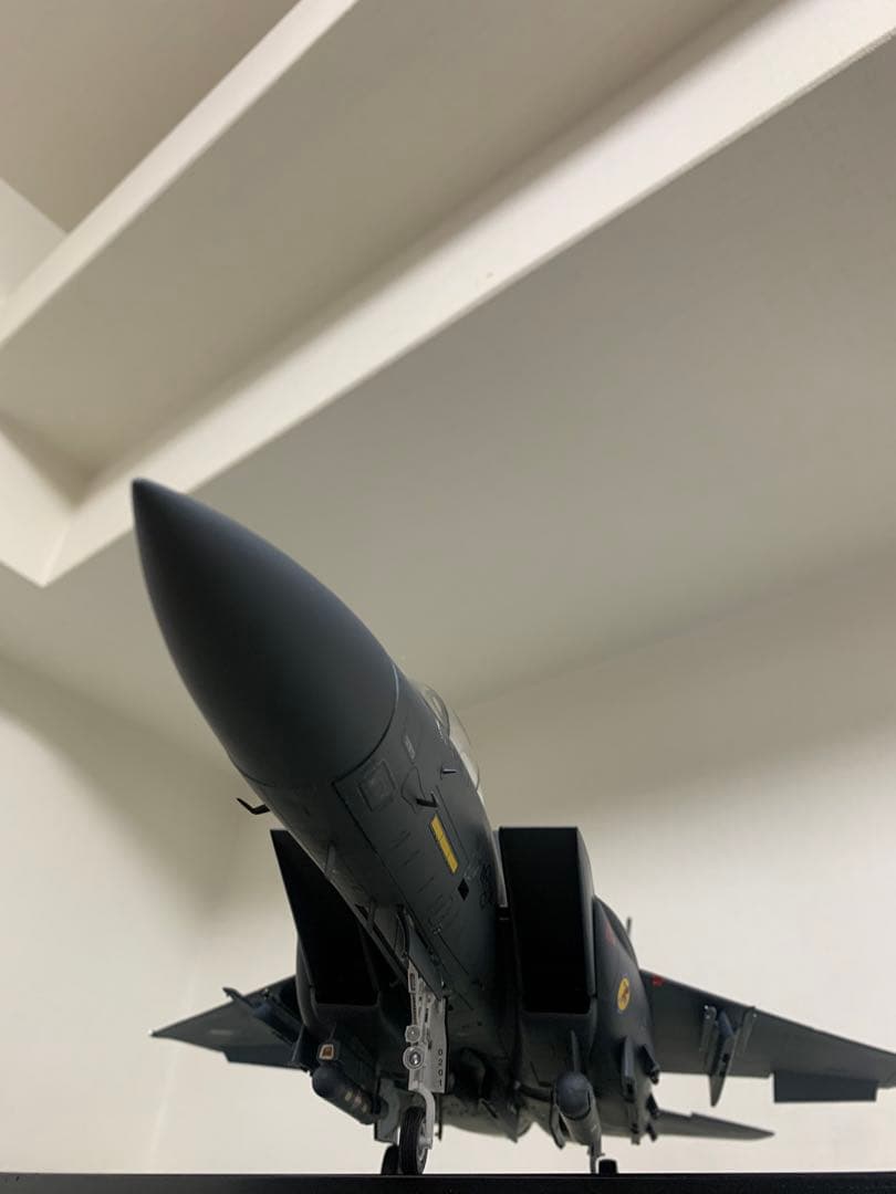 F-15E ストライクイーグル　バンカーバスター