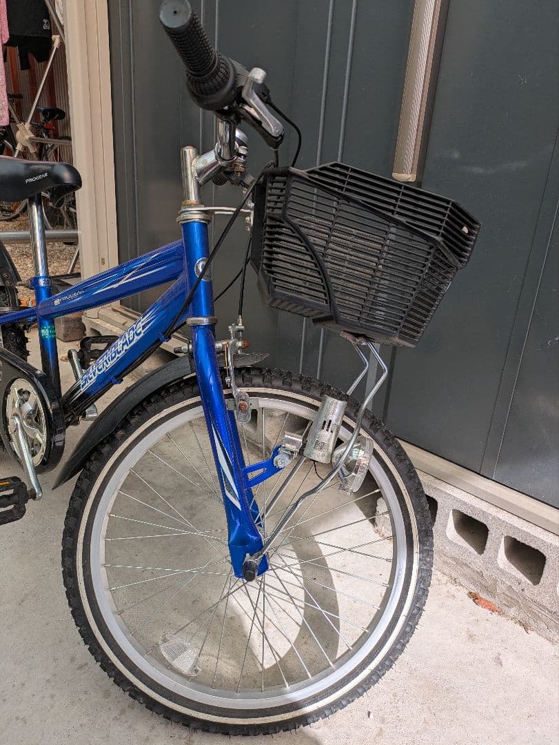 青い子供用自転車 PROGEAR 20インチ　引取り限定　限定値下げ