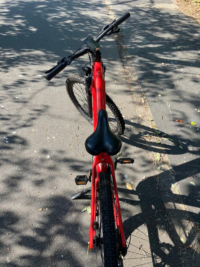 電動アシスト自転車BLULANS S6 lite カーボンフレーム年末大特価