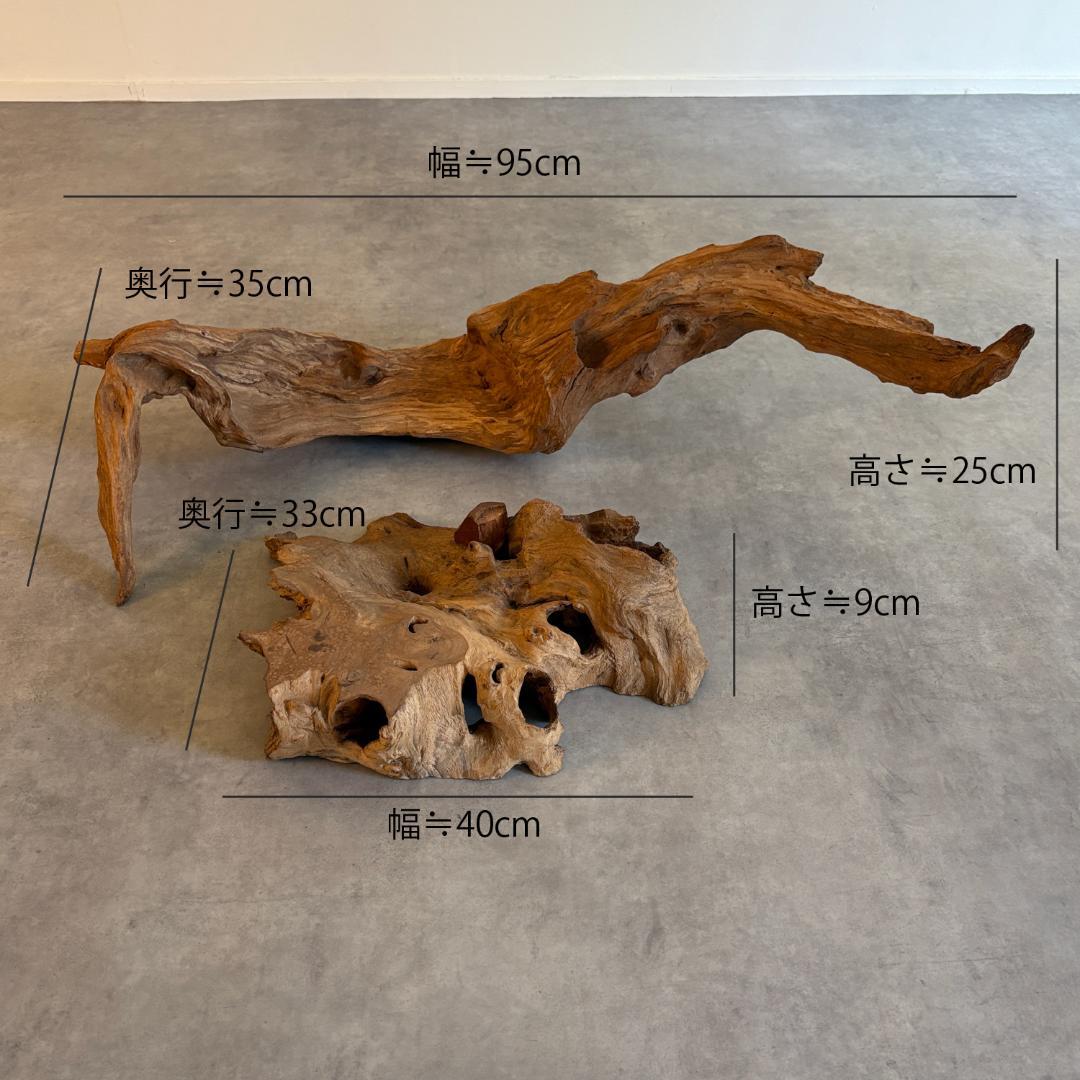 御神木　アート　インテリア　生花　オブジェ