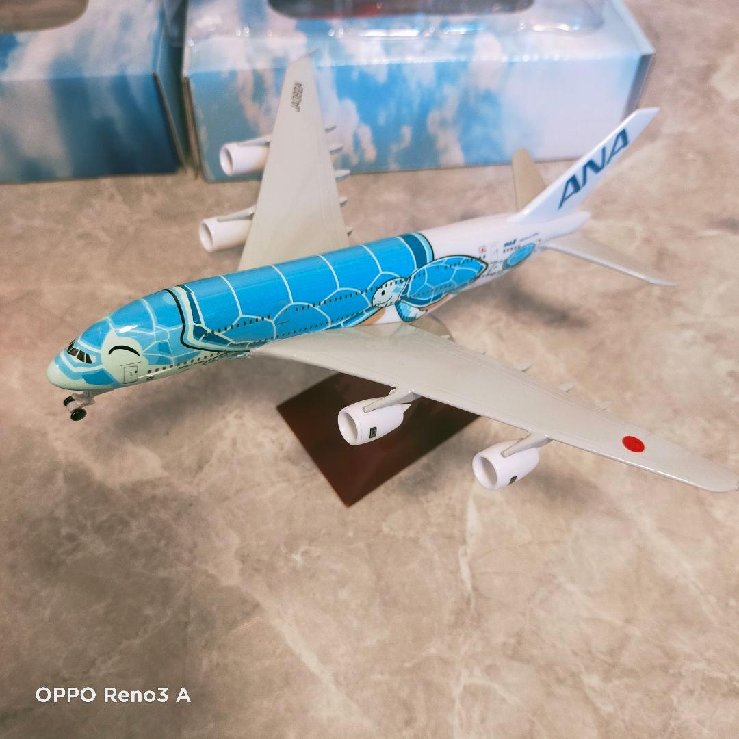 かまじい ホヌコンプリートセット