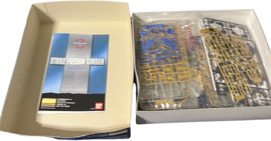 MG 1/100 ストライクフリーダムガンダム （機動戦士ガンダム）