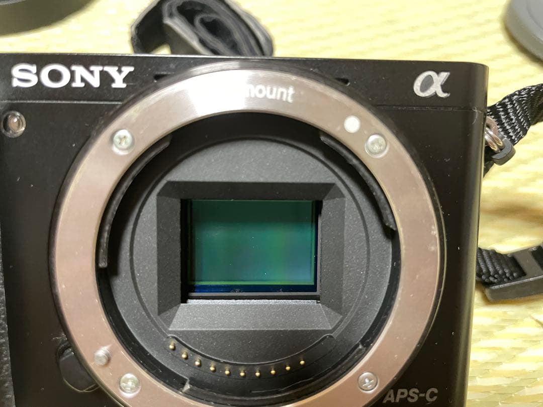 SONY α6000 SIGMA 19mm f2.8 DN