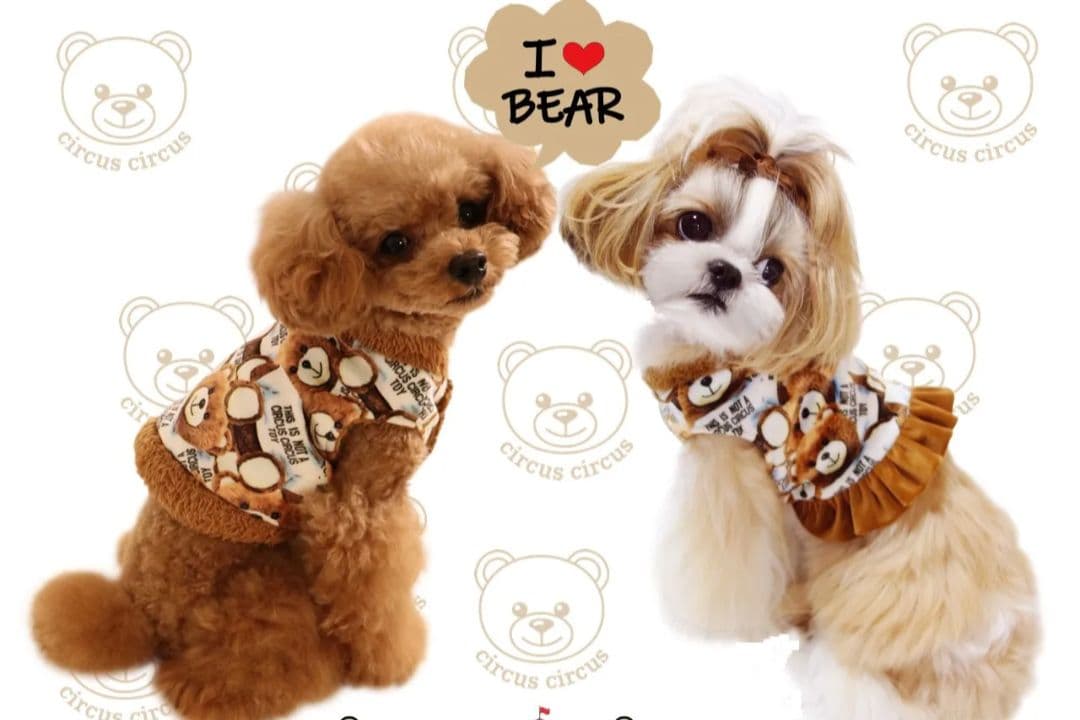 ToyBear ベスト＆room wareワンピ　サーカスサーカスcircus