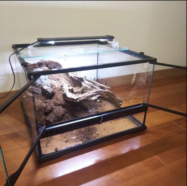 【受注生産】鳥かご　トカゲ飼育