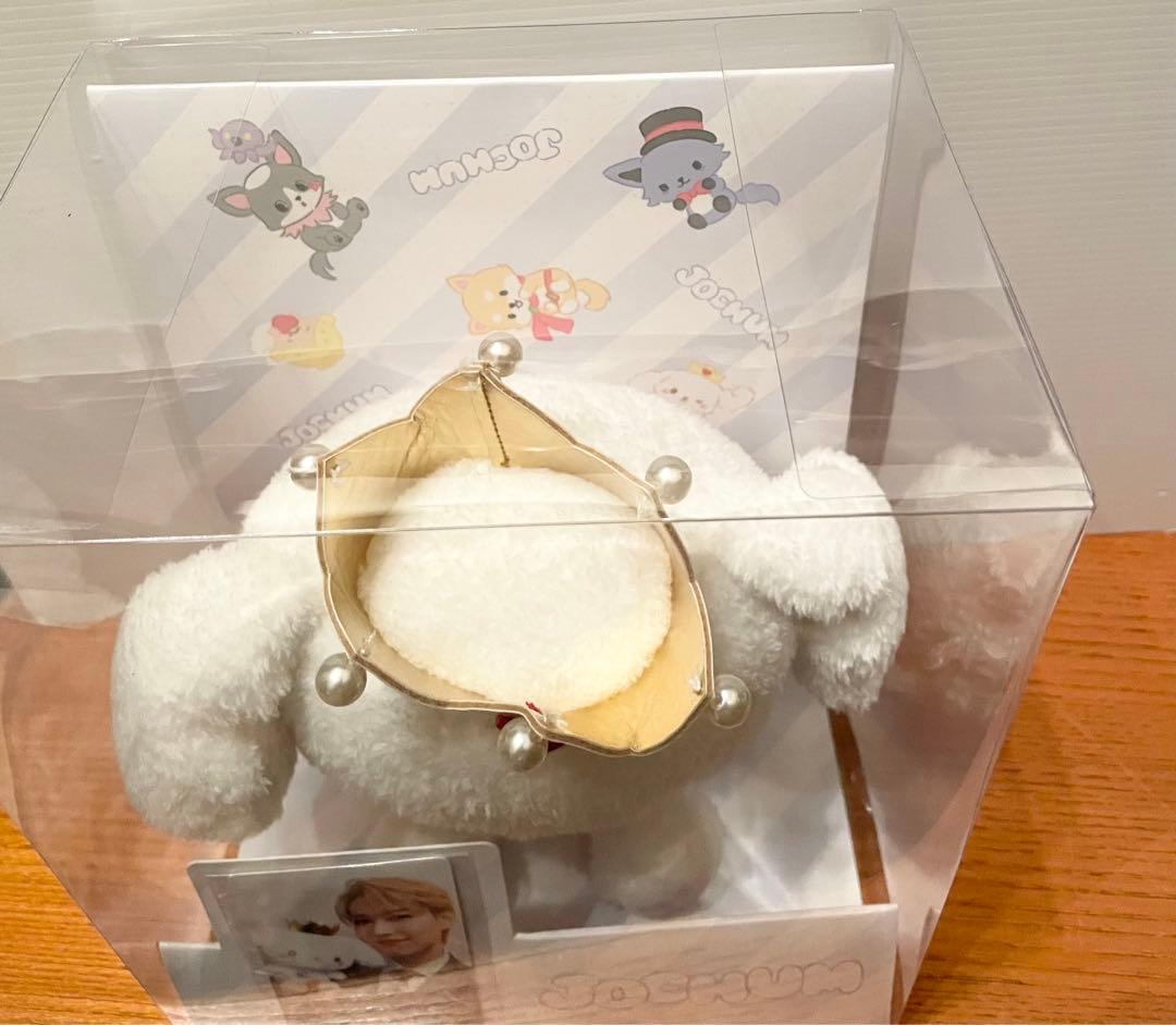 新品JOCHUM RURU オリジナルカード付きぬいぐるみ 初期　白岩瑠姫