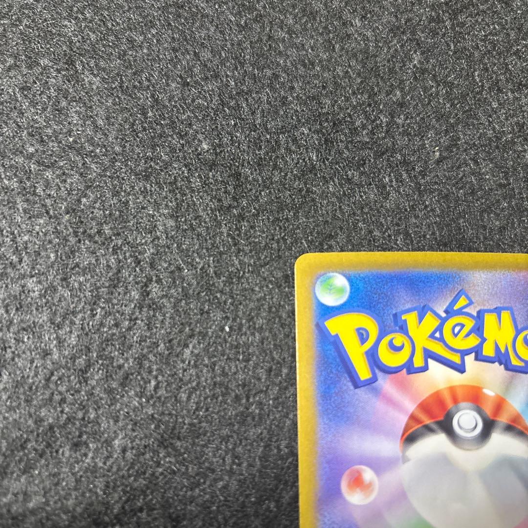 専用　ミモザ　ブラッキー