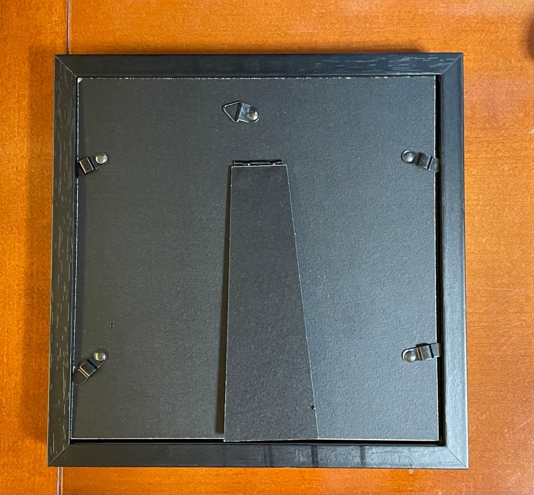 大型モルフォ蝶 標本 背景エンボス加工