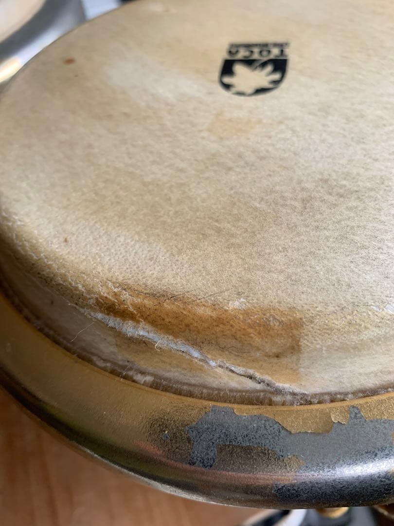 Toca トカ　ボンゴ　kaman limited 打楽器　パーカッション