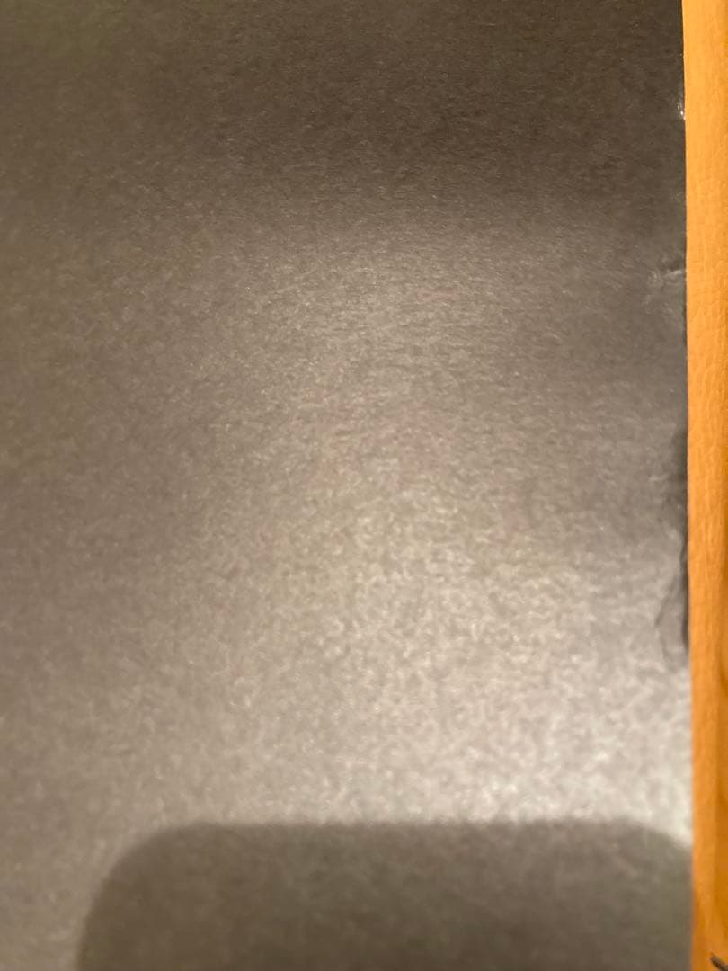 The chemical brothers来日公演