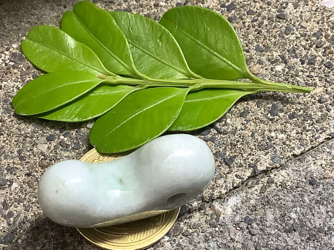 ⭕️神宿る幸運呼の勾玉　糸魚川翡翠ジェダイト　外部鑑定鑑別書取得　縁起物をお身近に