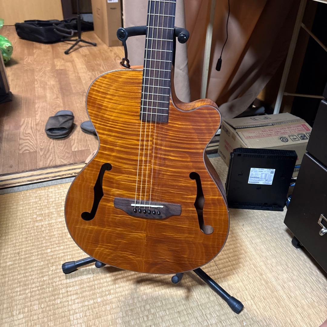 Aria アコースティックギター フルボディ