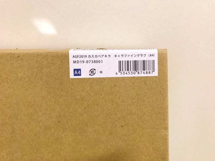 【Fate/Grand Order】カスカベアキラ キャラファイングラフ A4