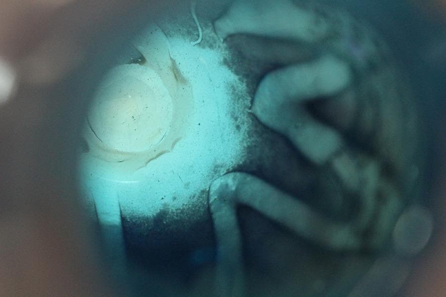 茶道具 沖縄 硝子 茶入 良蓋 仕服 揃 夏(A782)