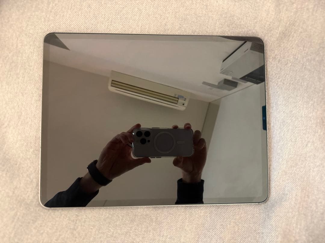 iPad Pro 12.9 第6世代 1TB Wi-Fi cellul