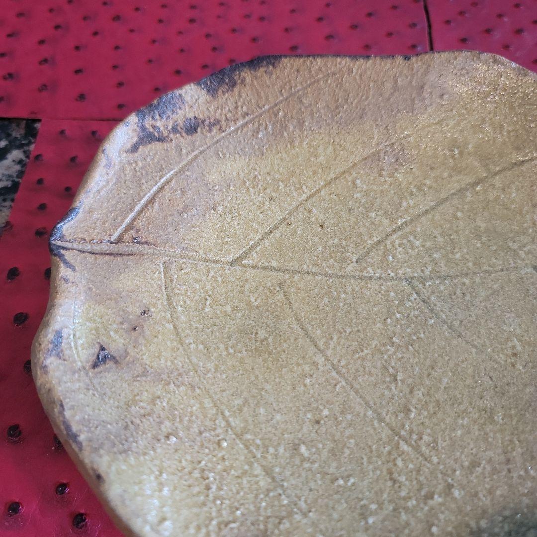 各務 周海 黄瀬戸木葉皿