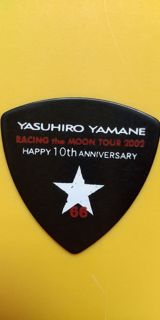 山根康広 10thライブ 本人使用ギターピッグ