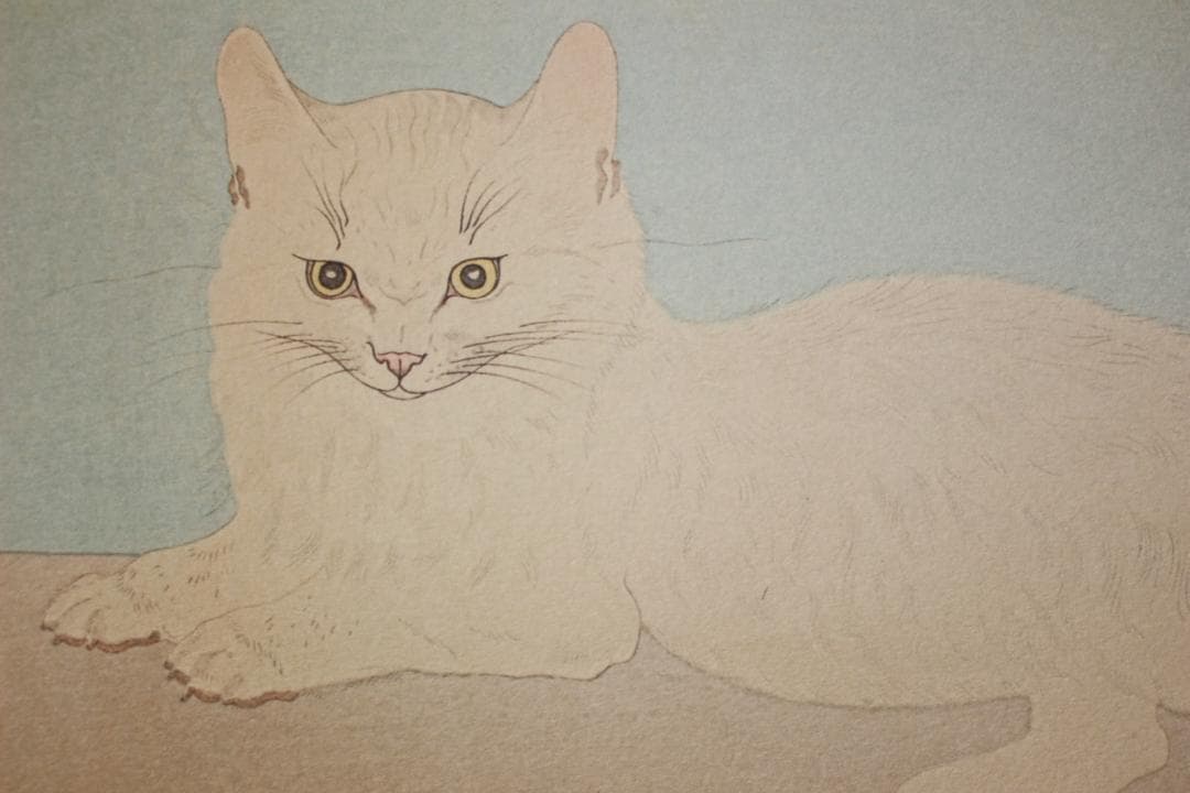 藤田嗣治 エスタンプリトグラフ「白い猫」 150部限定 13/150