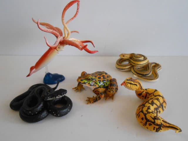 ♯Jvi12Gj カプセルQ 日本の動物3 東京 巨大都市と離島 フル 全13種