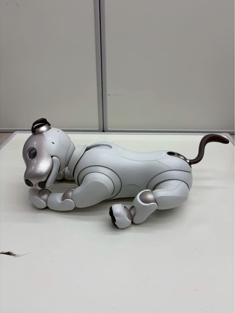 SONY AIBO ERS-1000 ロボット犬 充電ステーション付き　to01
