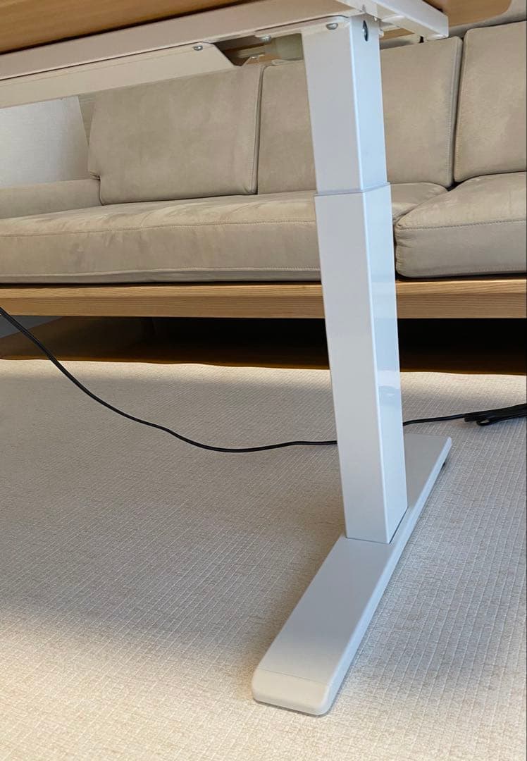 FlexiSpot T3 電動昇降デスク