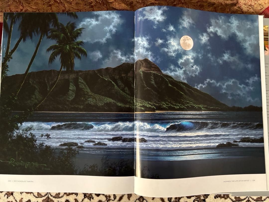 1点物　美品　ロイ.タボラ Jewel of the Night