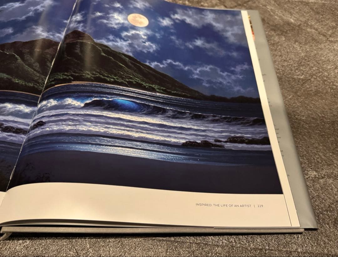 1点物　美品　ロイ.タボラ Jewel of the Night