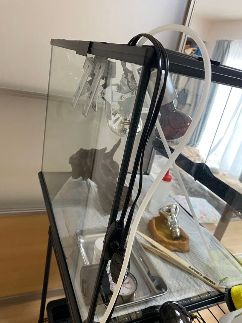 エキゾテラ6045 東広島市　とまさん専用