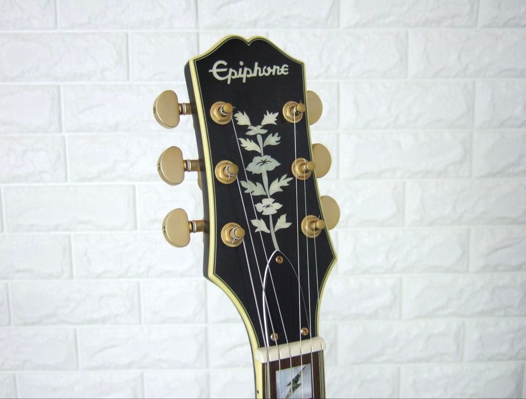 Epiphone Emily Wolfe Sheraton エミリー・ウォルフ