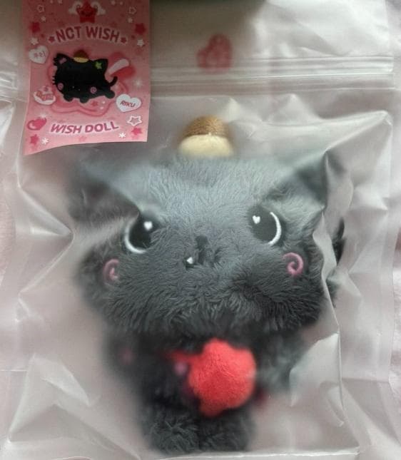 NCTWISH WISH DOOL リク ぬいぐるみキーリング POPUP 7