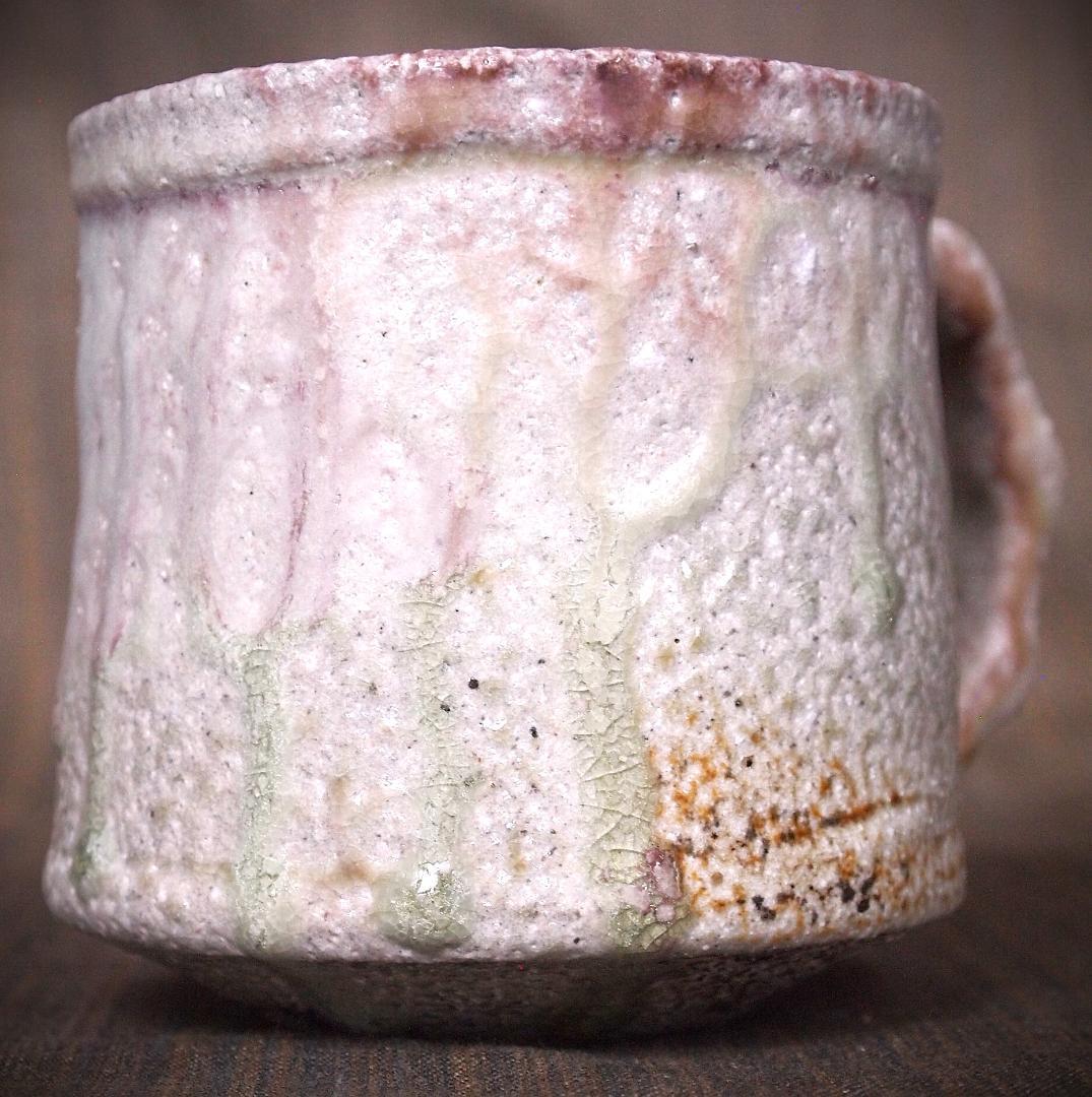 人気作家★高橋燎★信楽【窯変】焼き締めマグカップA★トレインキルン薪窯