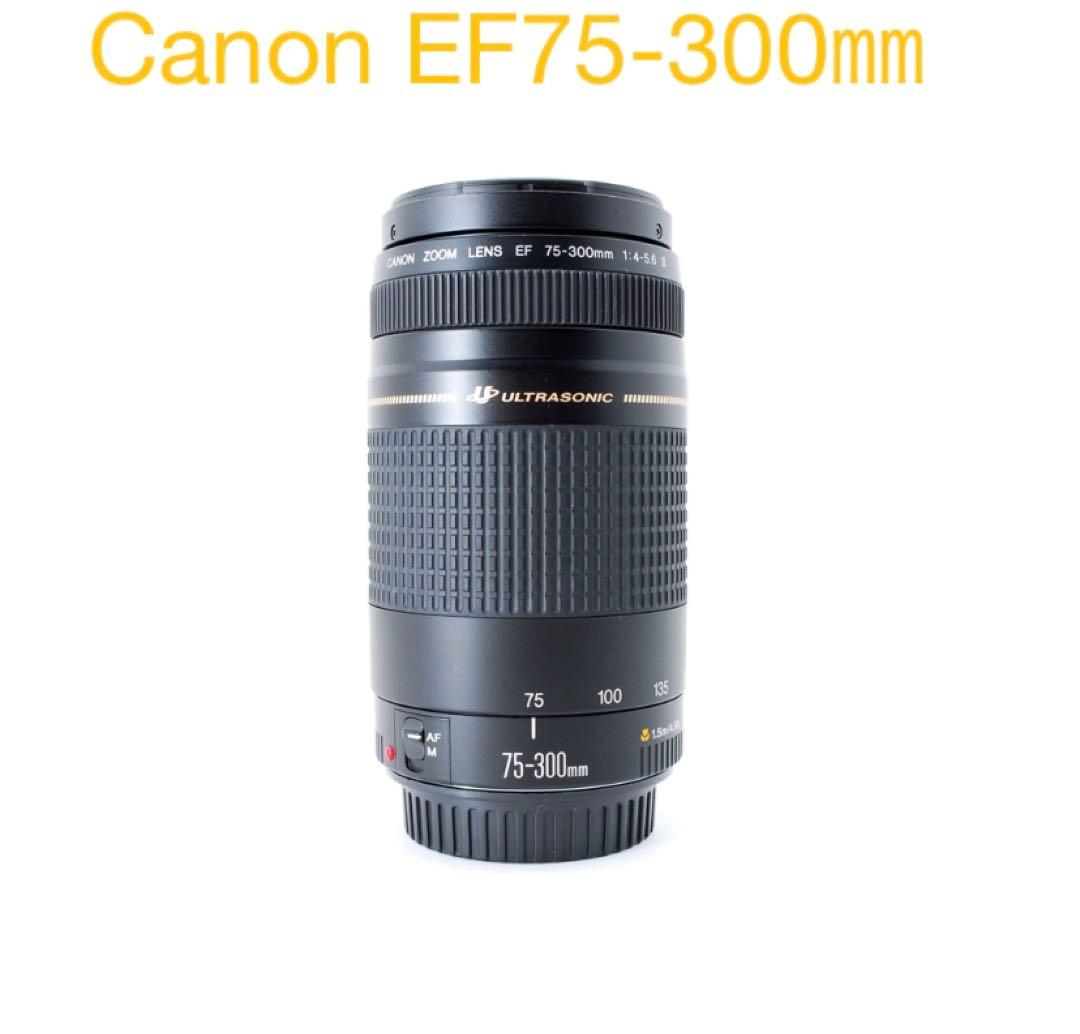 一眼レフカメラ☆望遠レンズ☆Canon EF 75-300mm F4-5.6