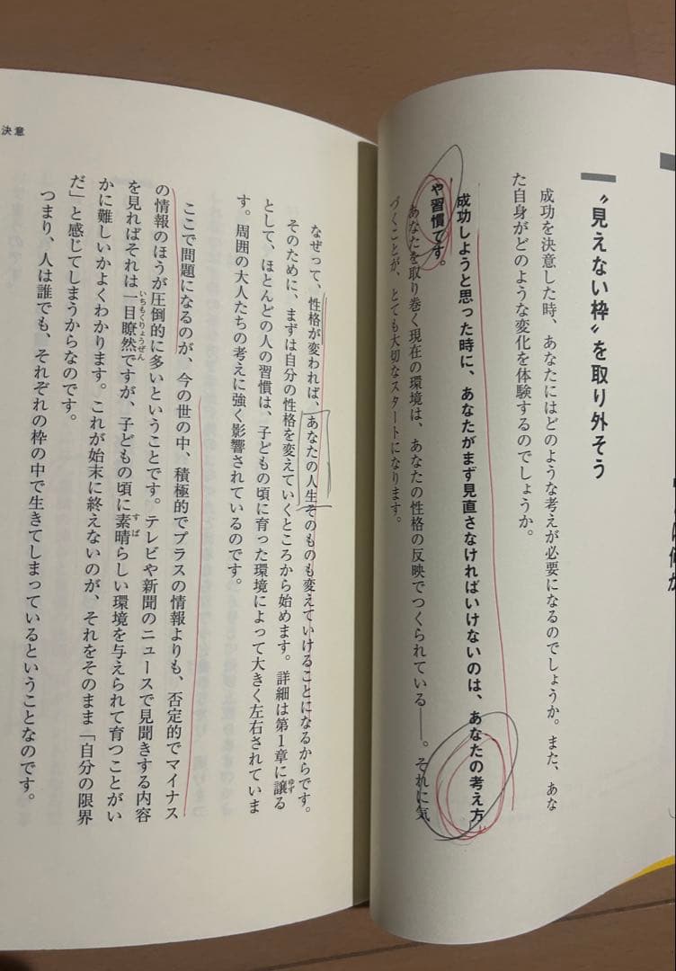 【訳あり】「成功曲線」を描こう。 : 夢をかなえる仕事のヒント